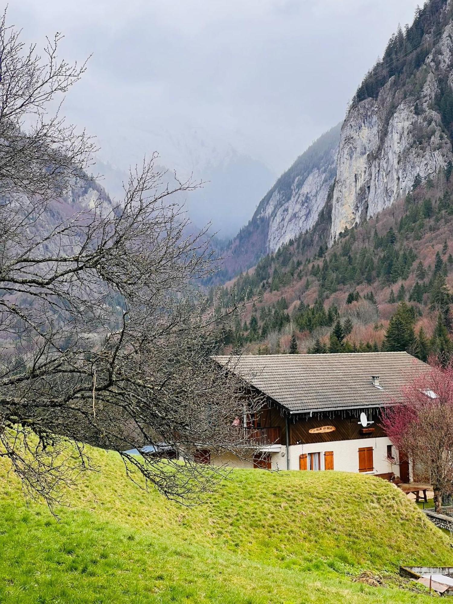 Chalet Du Bonheur Villa Bonnevaux  Exterior foto